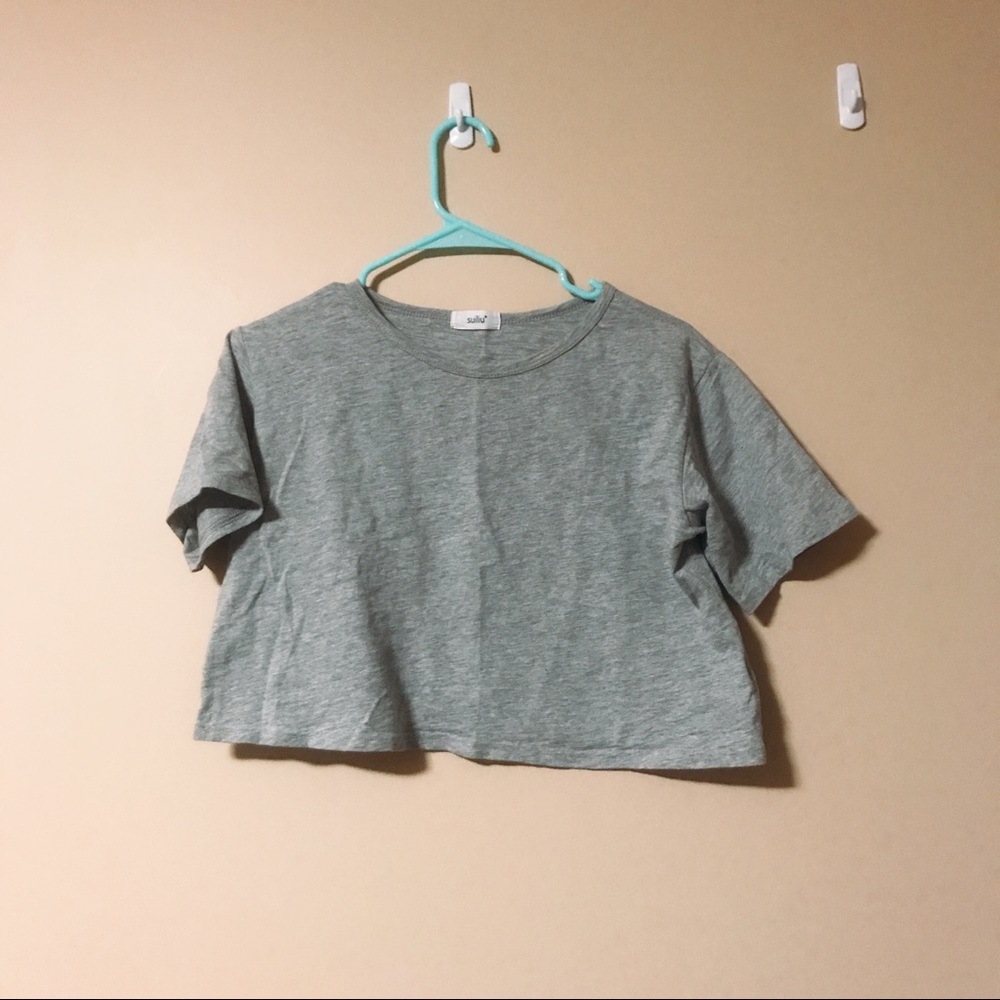 Suiliu Gray Crop Top
